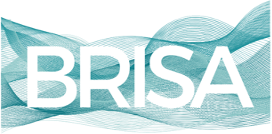 BRISA Project